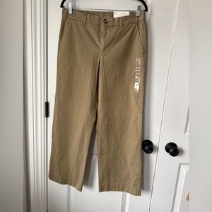 American Eagle Outfitters Women's Tan Stovepipe Trousers